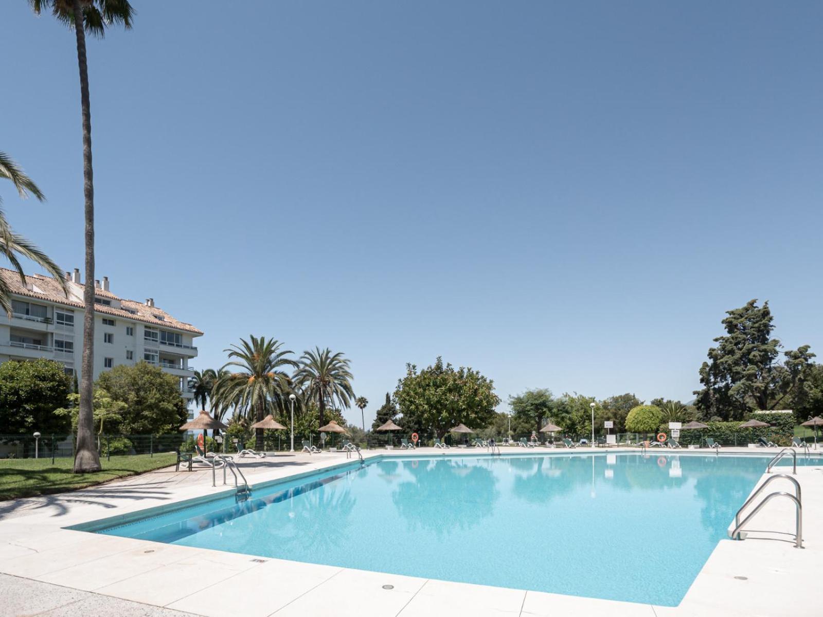 Con Vistas Al Mar, La Concha Y Rio Real Apartment *
